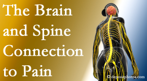 OrthoIllinois Chiropractic looks at the connection between the brain and spine in back pain patients to better help them find pain relief.
