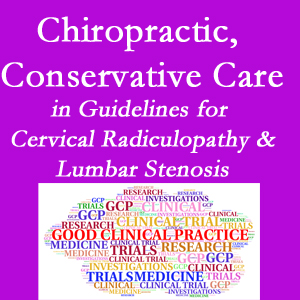 McHenry chiropractic care for cervical radiculopathy and lumbar spinal stenosis is often ignored in medical studies and recommendations despite documented benefits. 