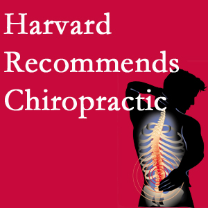 OrthoIllinois Chiropractic offers chiropractic care like Harvard recommends.