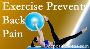 OrthoIllinois Chiropractic suggests McHenry back pain prevention with exercise.