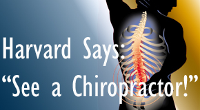McHenry chiropractic for back pain relief urged by Harvard