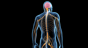 McHenry chiropractic  and spinal manipulation benefits for back and neck pain