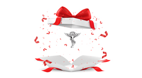 McHenry chiropractic care as  a gift