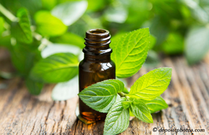 McHenry peppermint pain relieving benefits